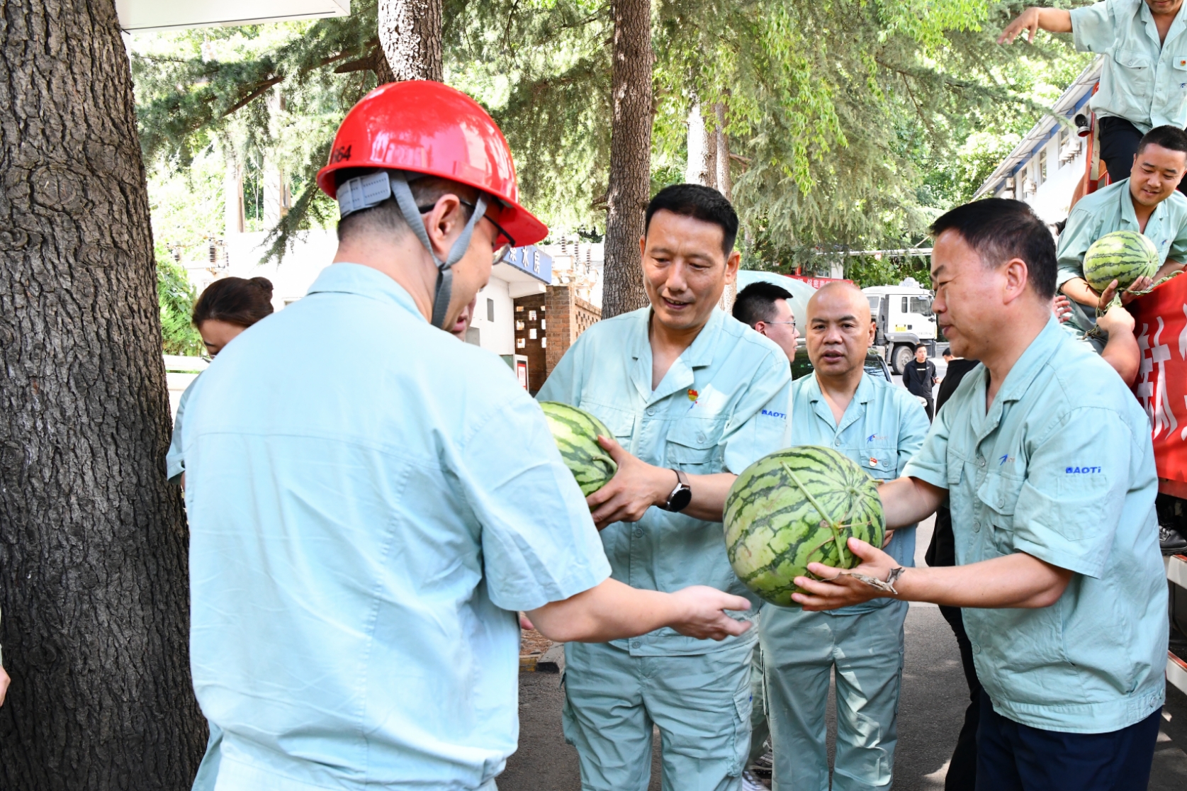 1719363836711315.jpg 1719363836711315.jpg