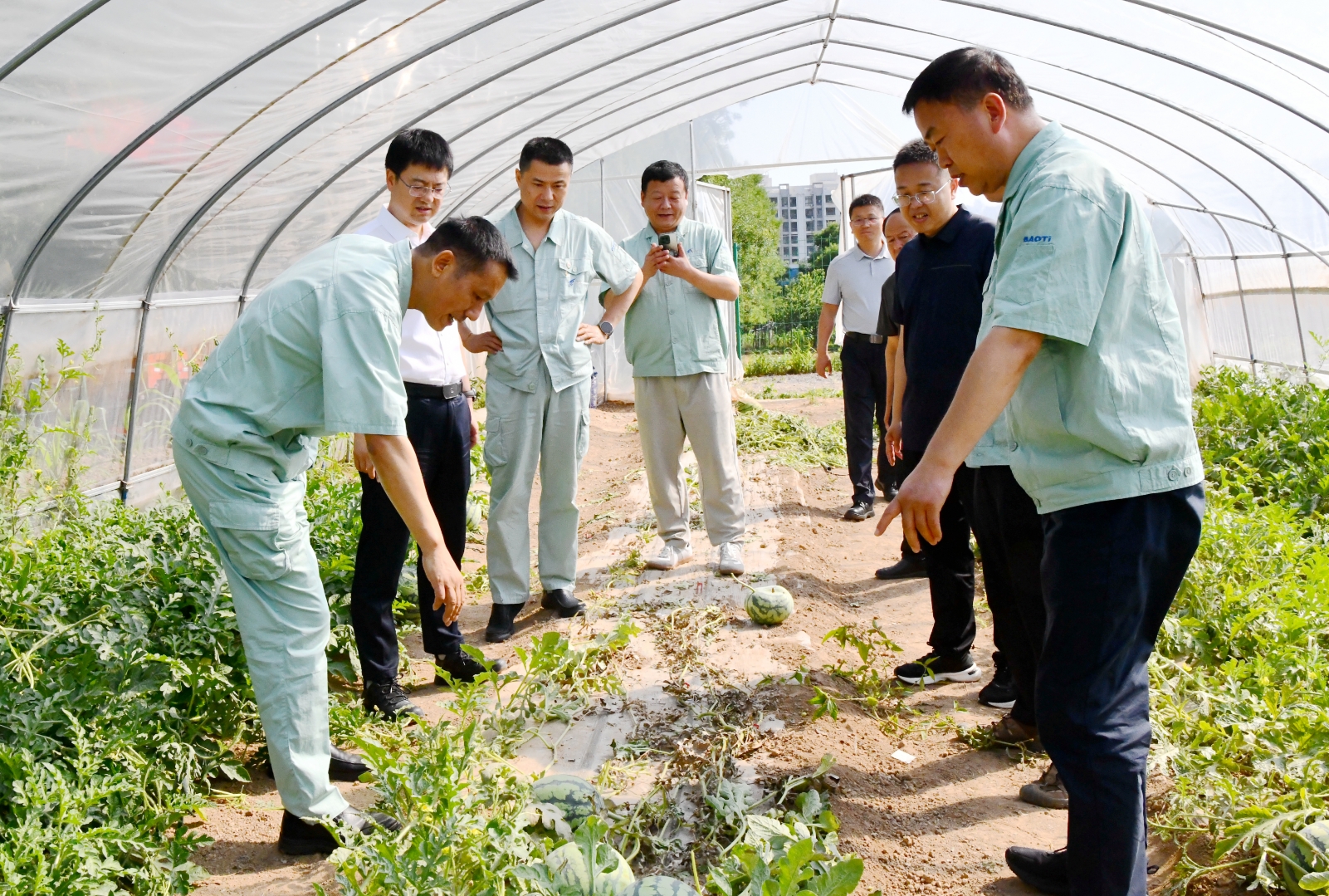 1719364069137486.jpg 1719364069137486.jpg