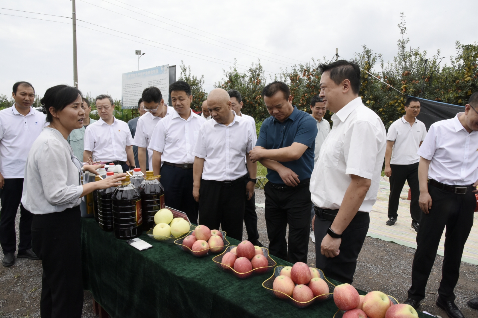 1724027317896610.jpg 1724027317896610.jpg