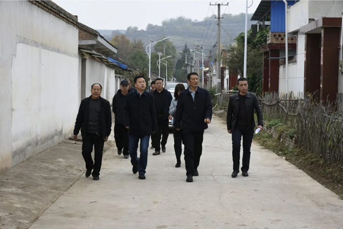 1731458065211501.jpg 1.jpg